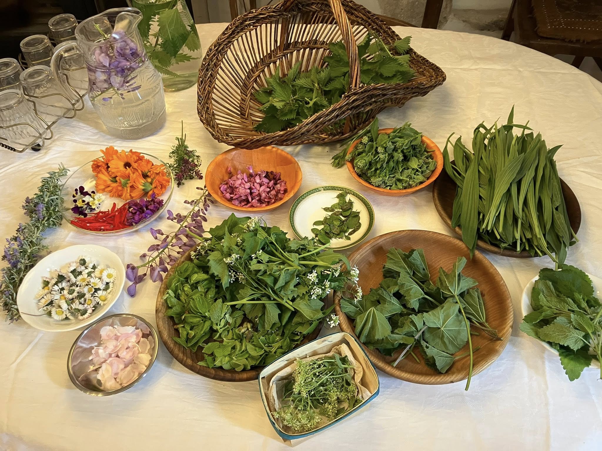 Atelier de cuisine et balade botanique avec les Aventurires du Got