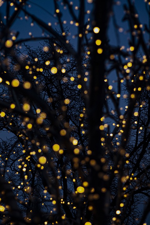 March nocturne