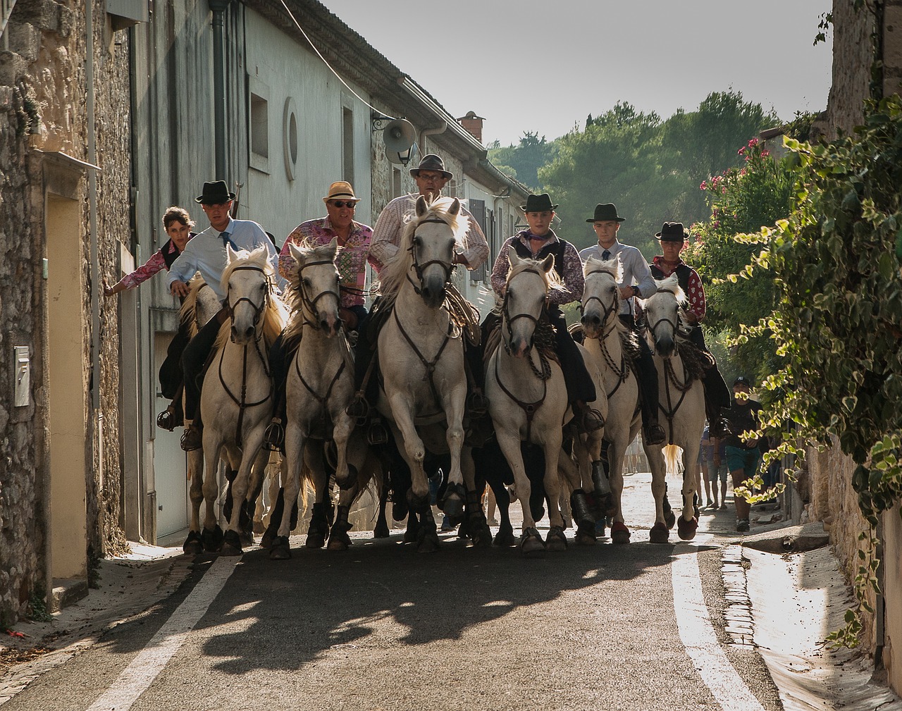 Ftes de la Saint-Pierre : Festival d'Abrivado