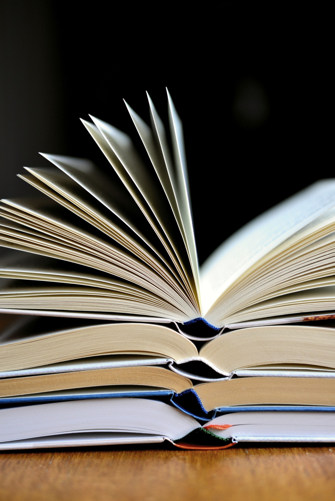 Journe du livre et des auteurs
