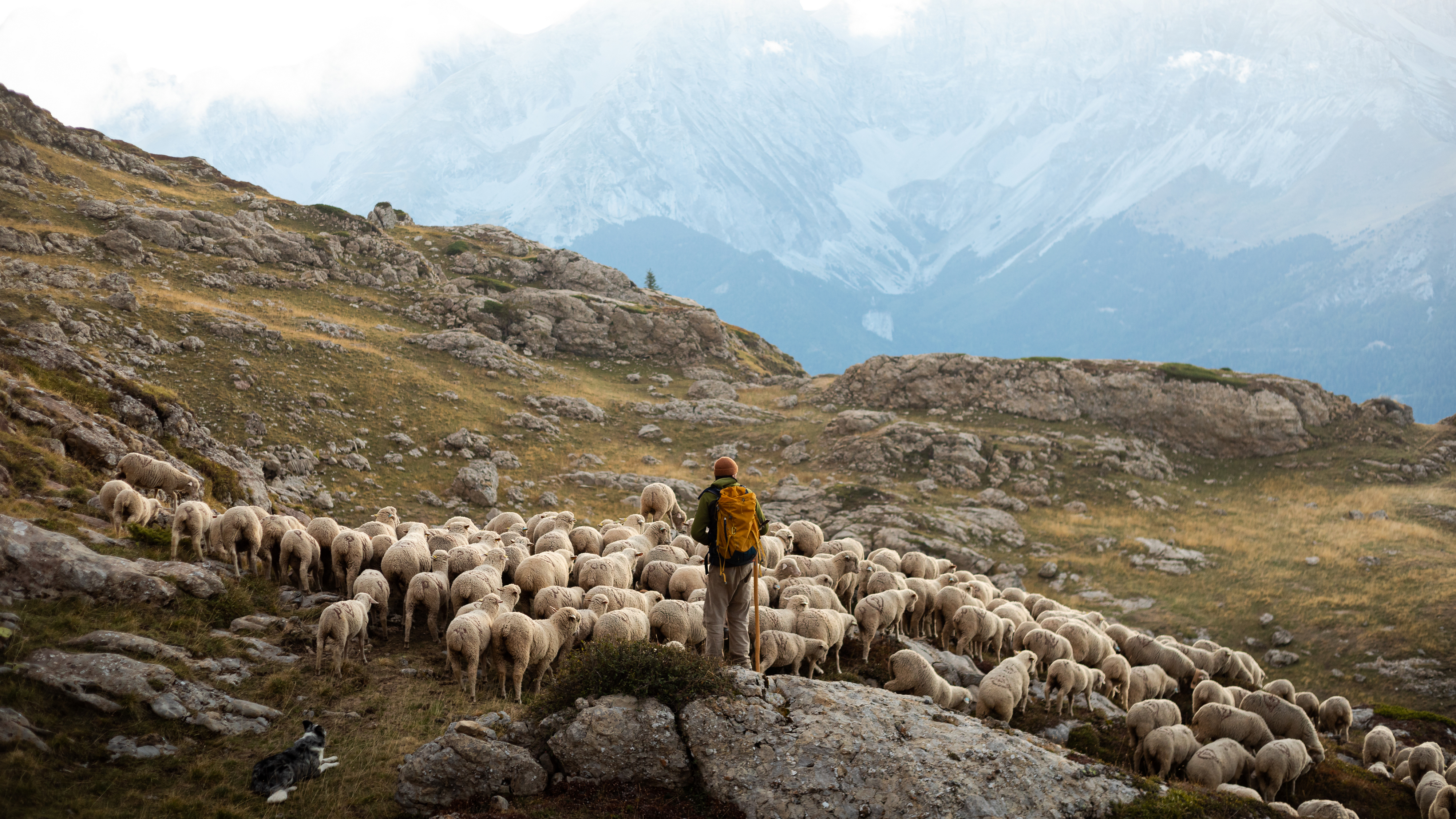 Zen Agritude : conf�rence sur les interactions en milieux montagnards