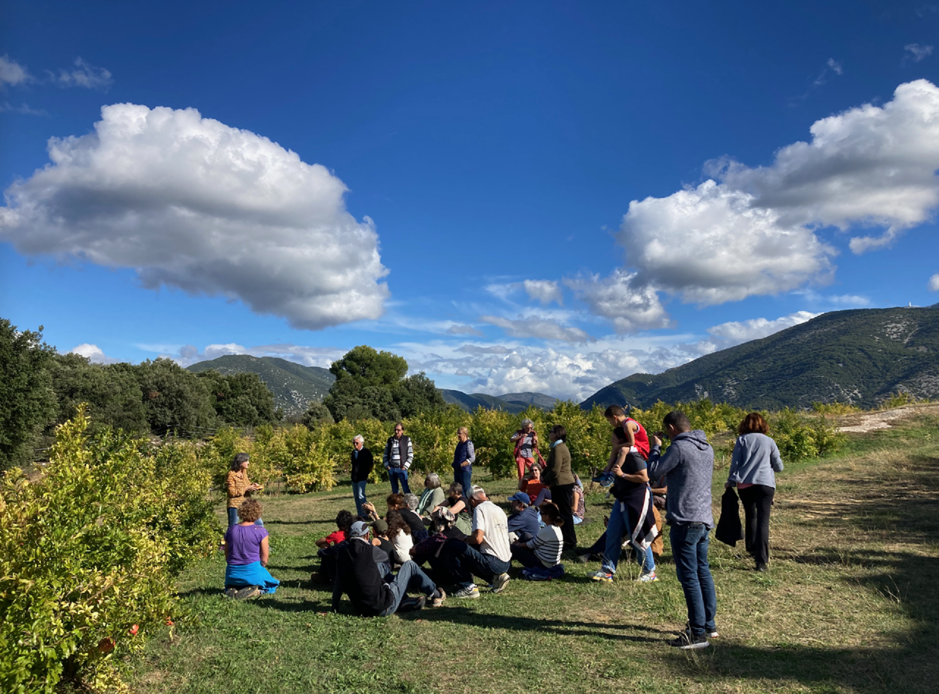 Festival Brin de Culture : Balade conte dans les vergers de grenadiers