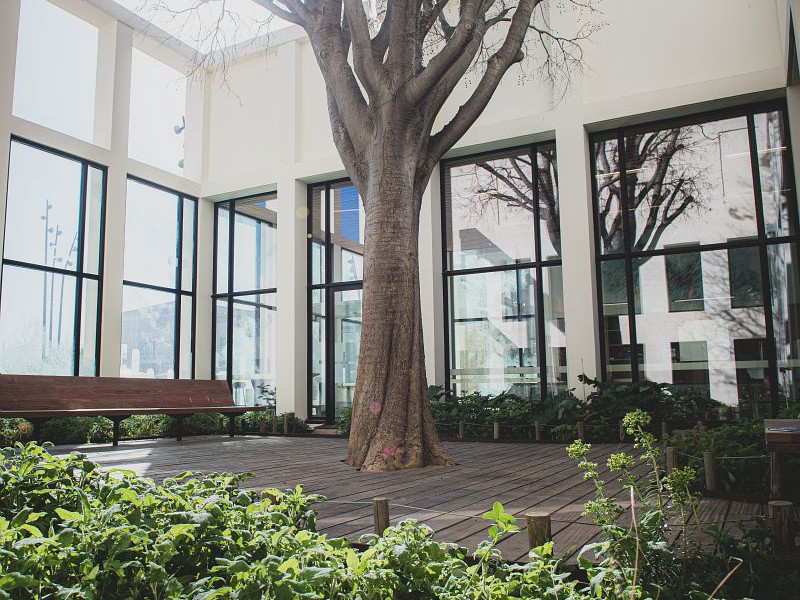 Animations  la mdiathque Salim Hatubou en  novembre et dcembre