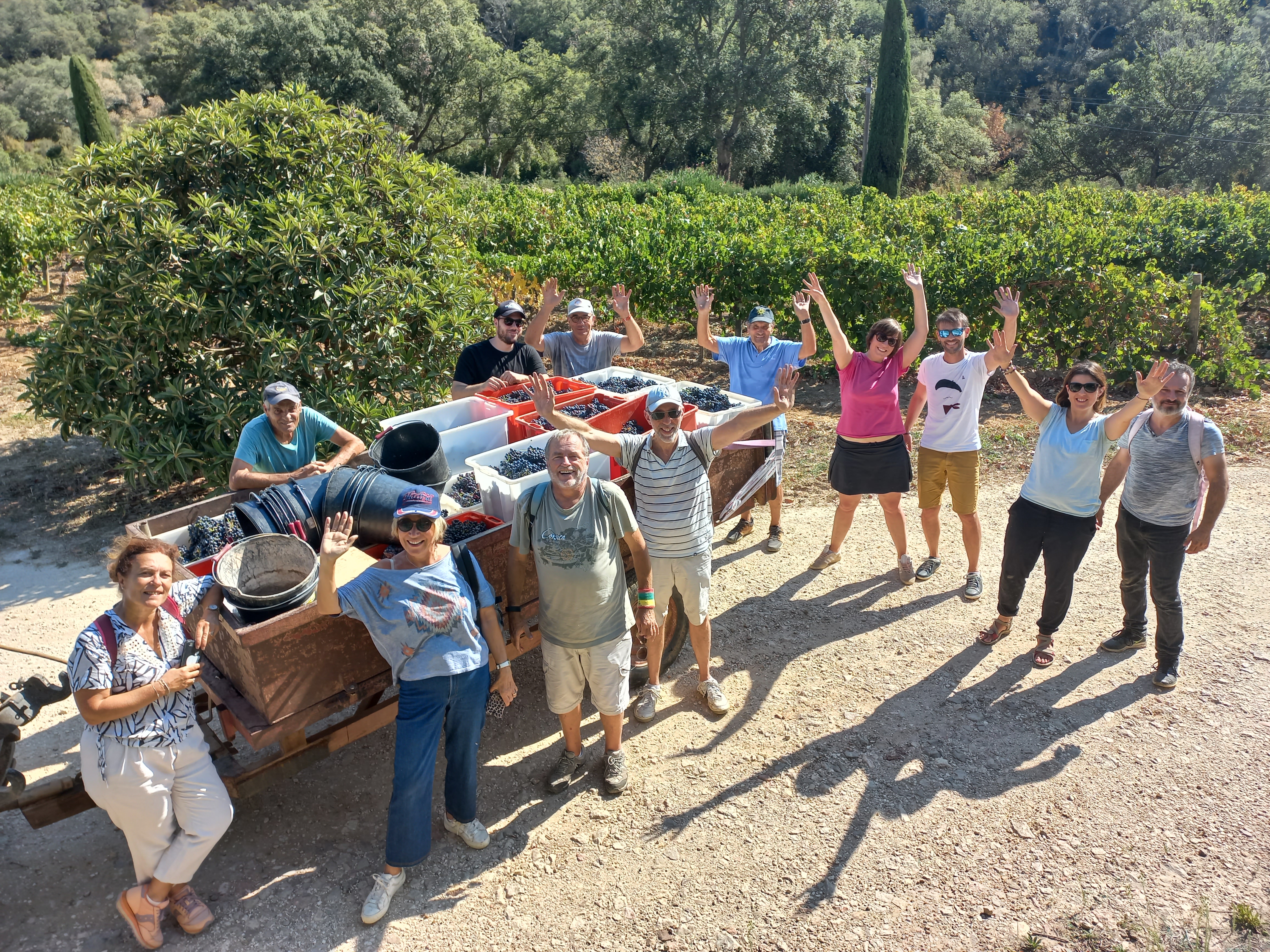 Journe dcouverte des vendanges au Chteau Pas du Cerf