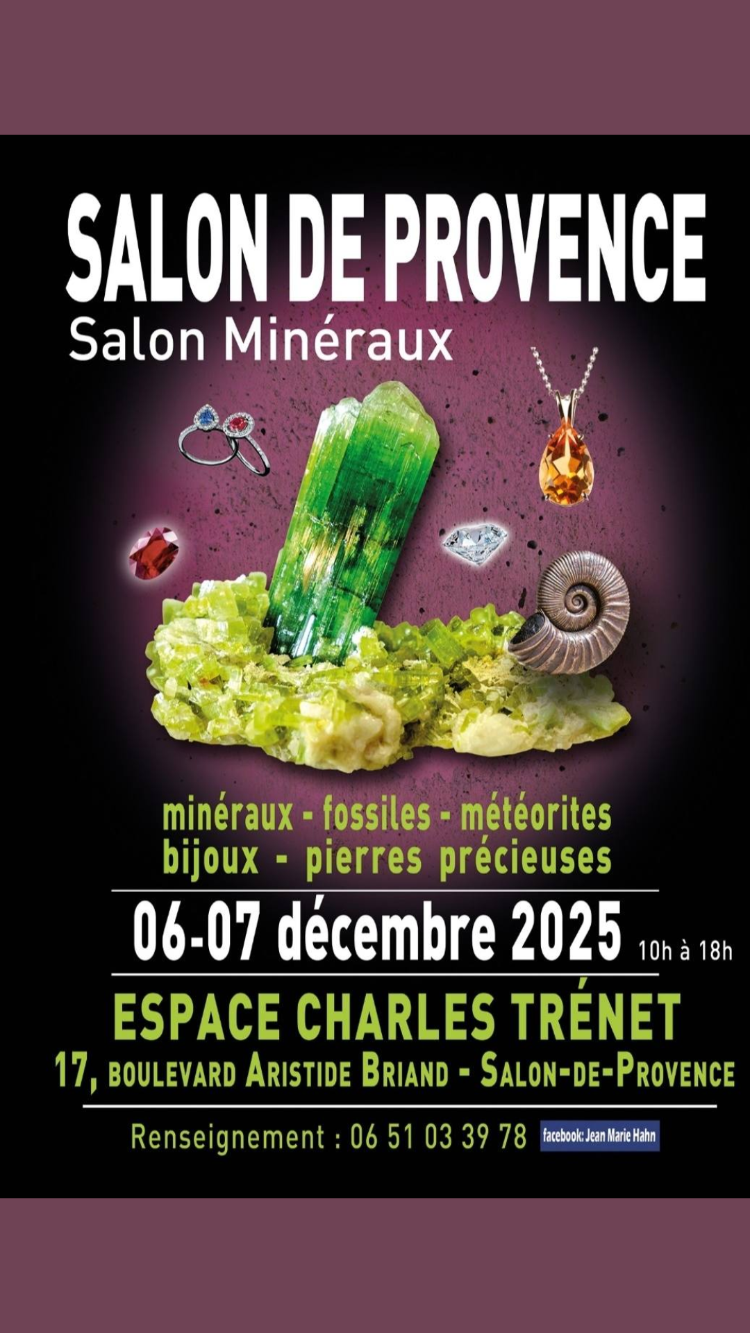 Salon Minraux