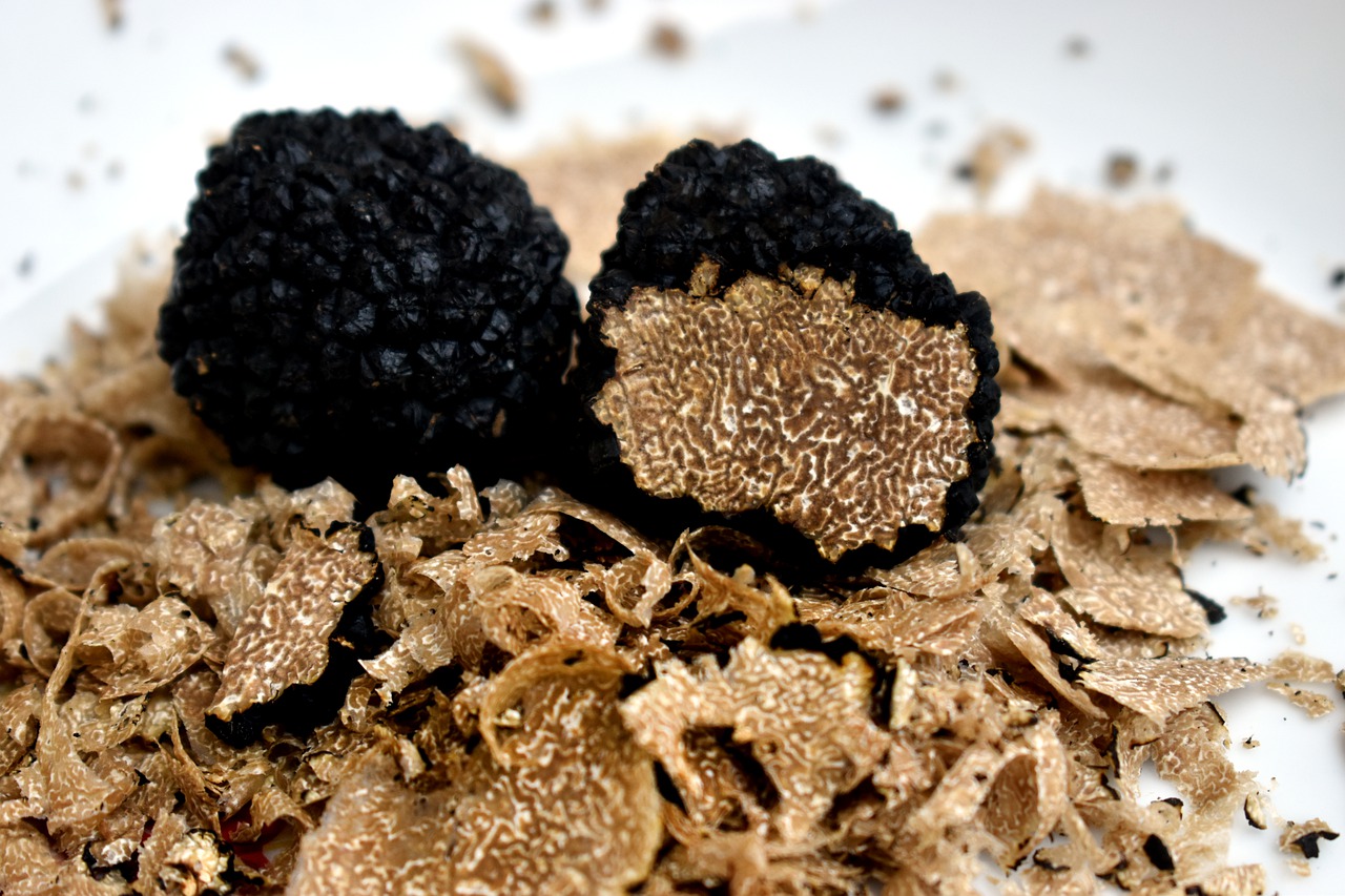 March de la Truffe