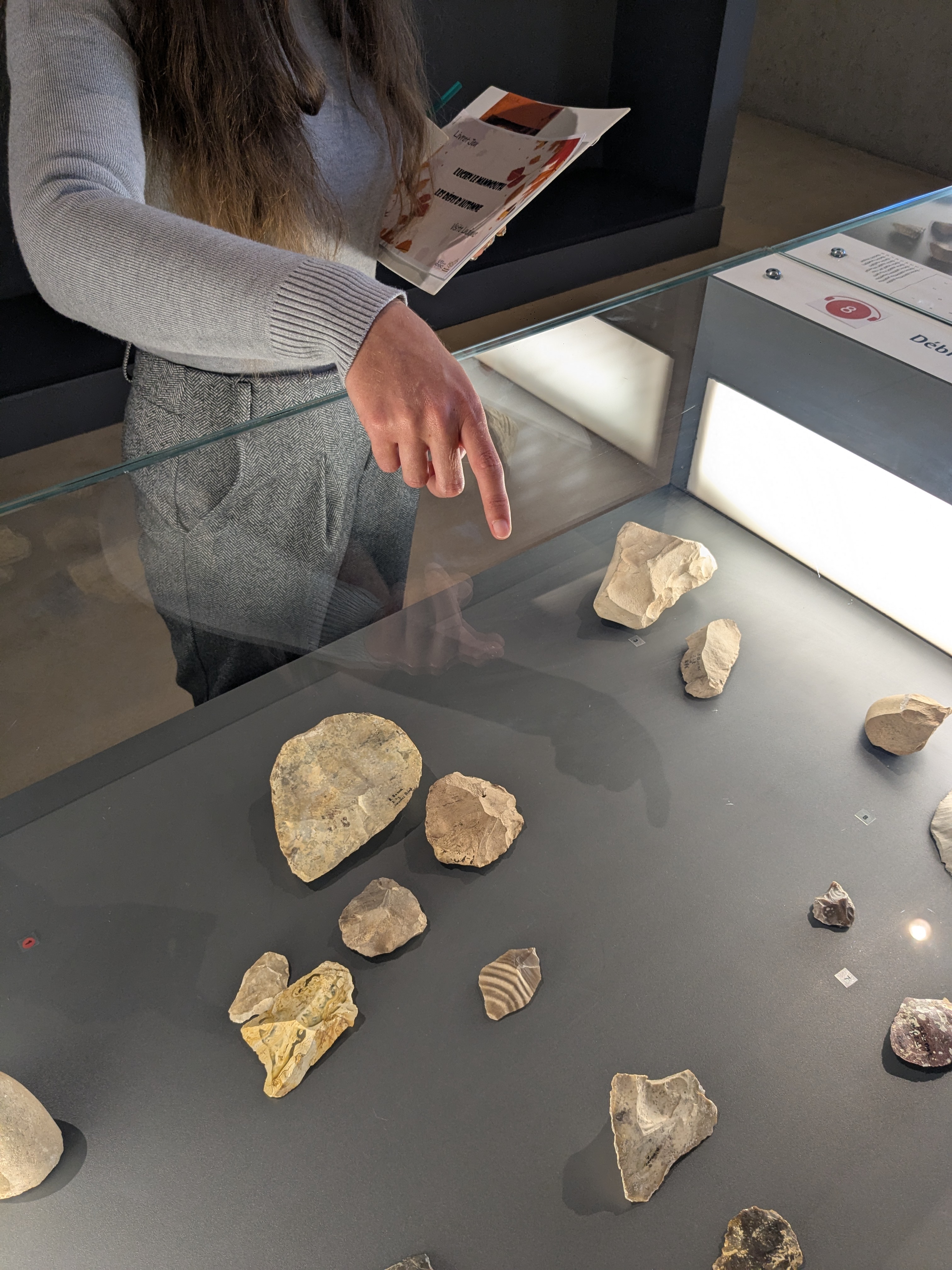 Visite ludique : Si j'�tais un Pr�histo