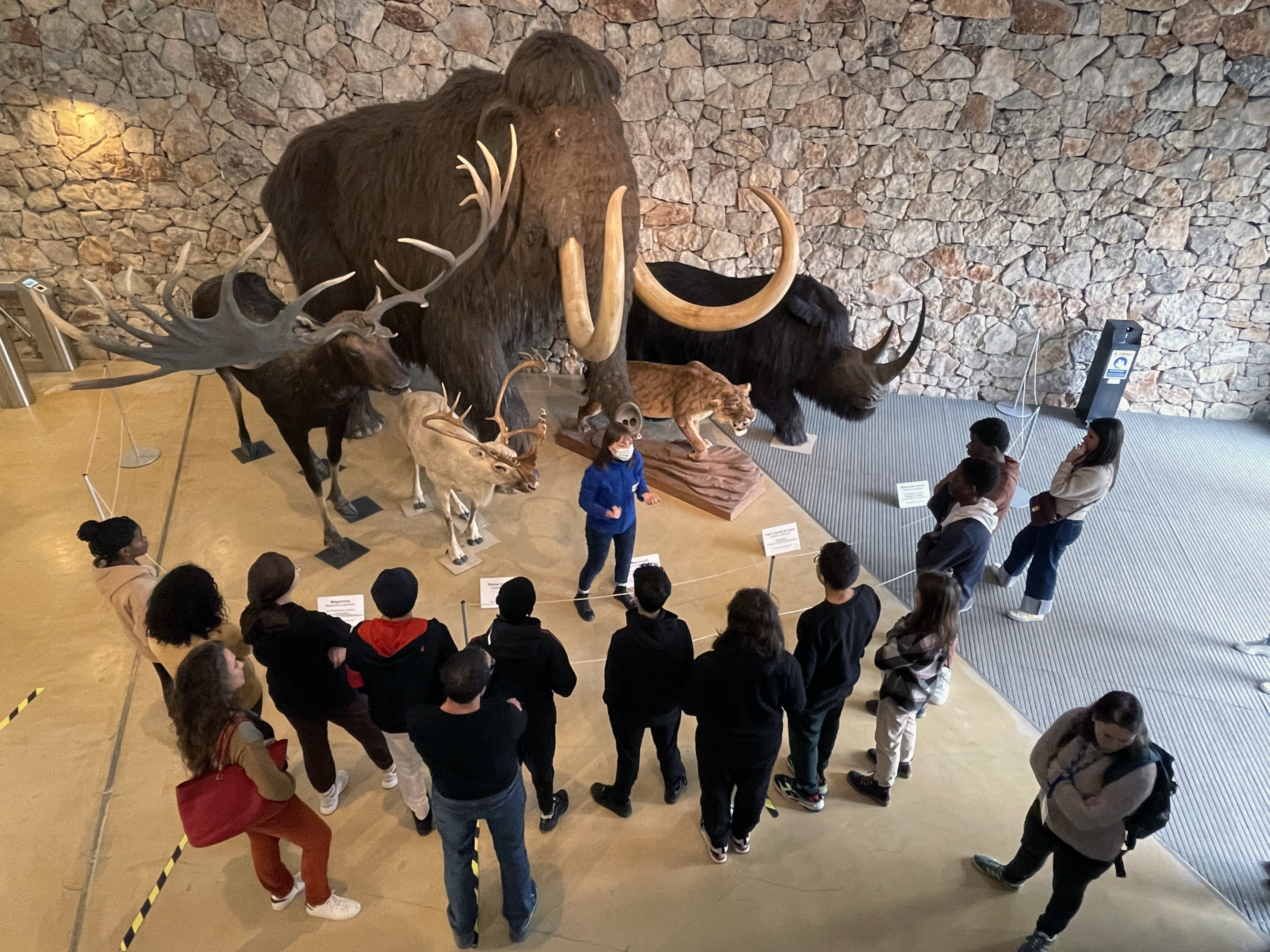 Laissez-vous guider au mus�e