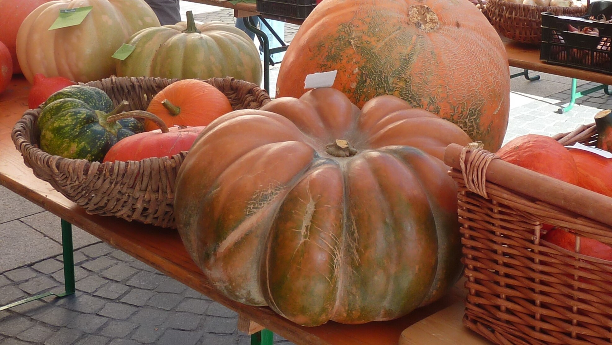 54me Foire concours agricole de la Haute Tine