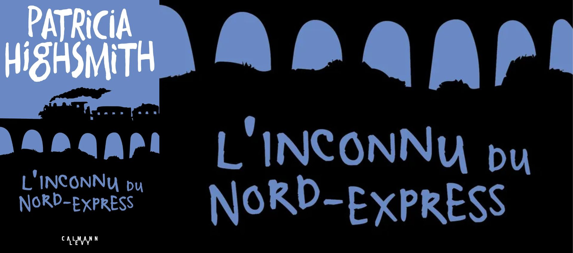 Une auteure, un roman, un film : linconnu du Nord-Express