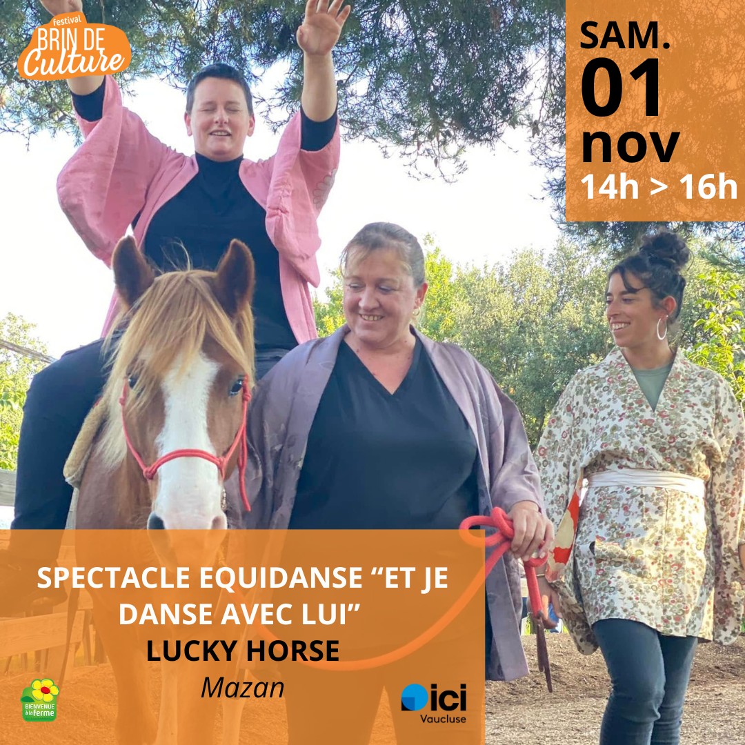 Spectacle Equidanse 