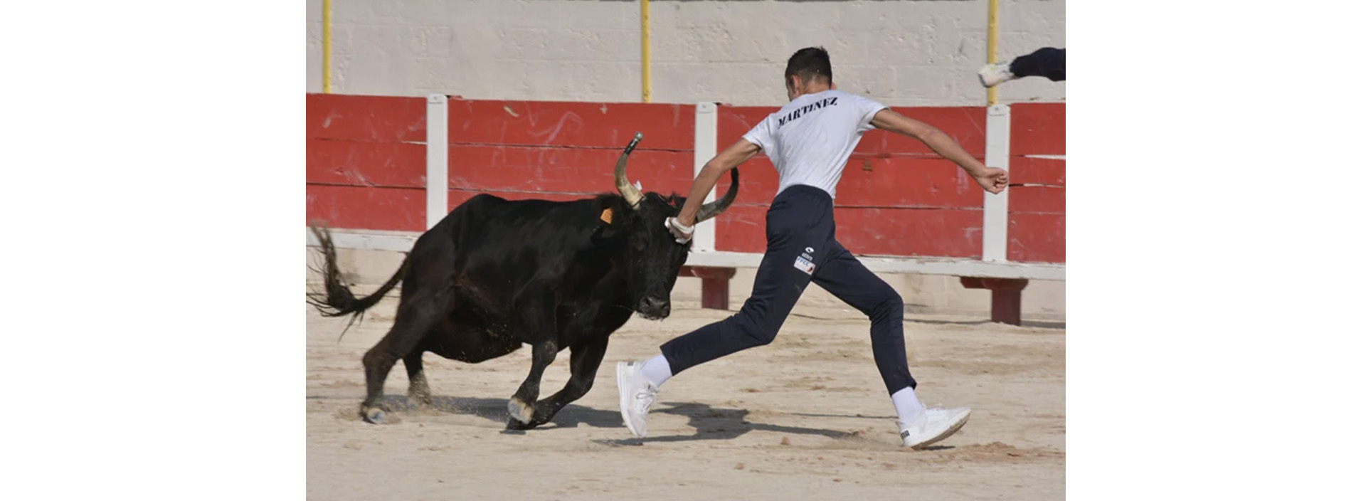 Course camarguaise : �cole de raseteurs