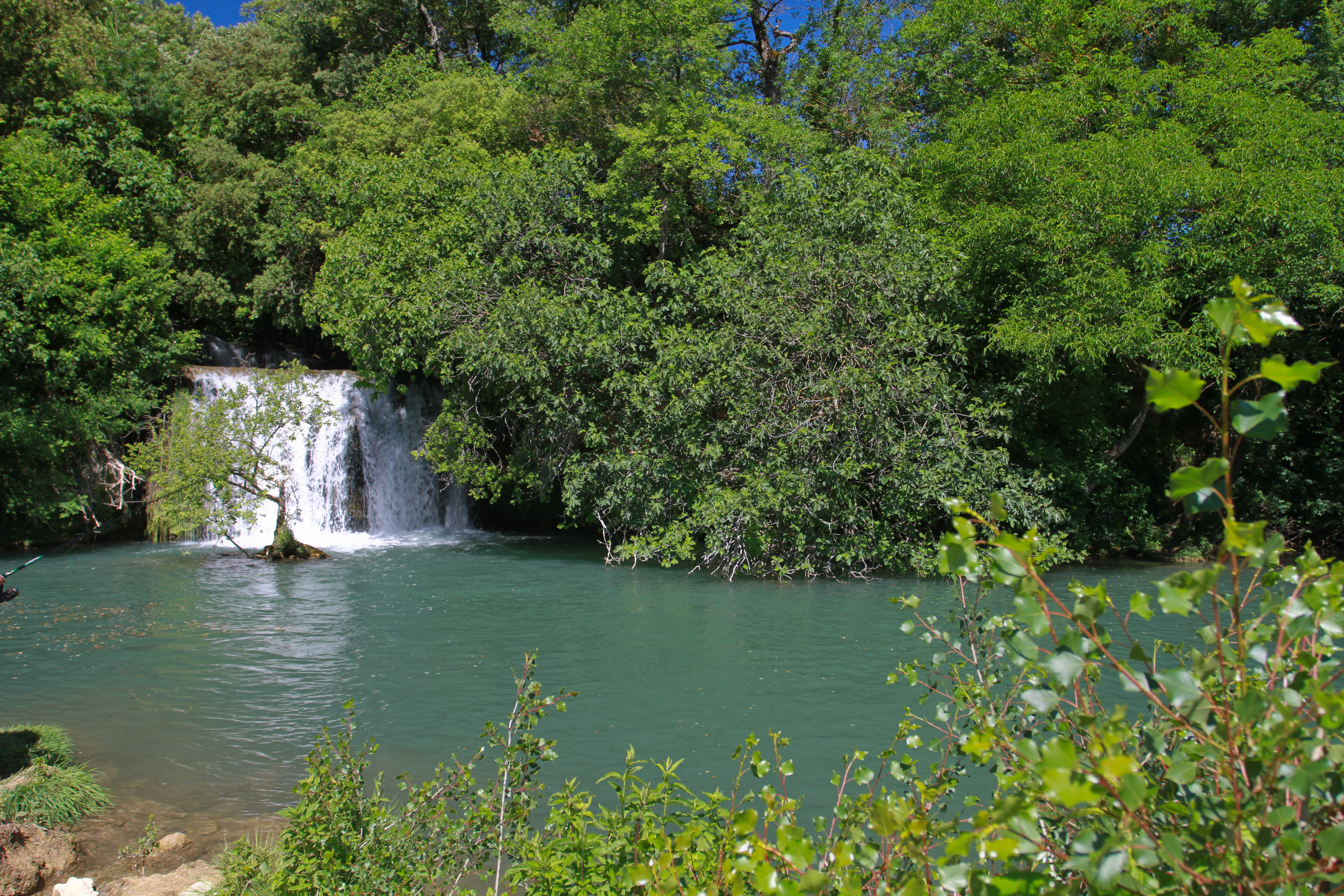 COMPLET - Balade nature au fil de l'eau | Rendez-vous Un dimanche en Provence Verte & Verdon