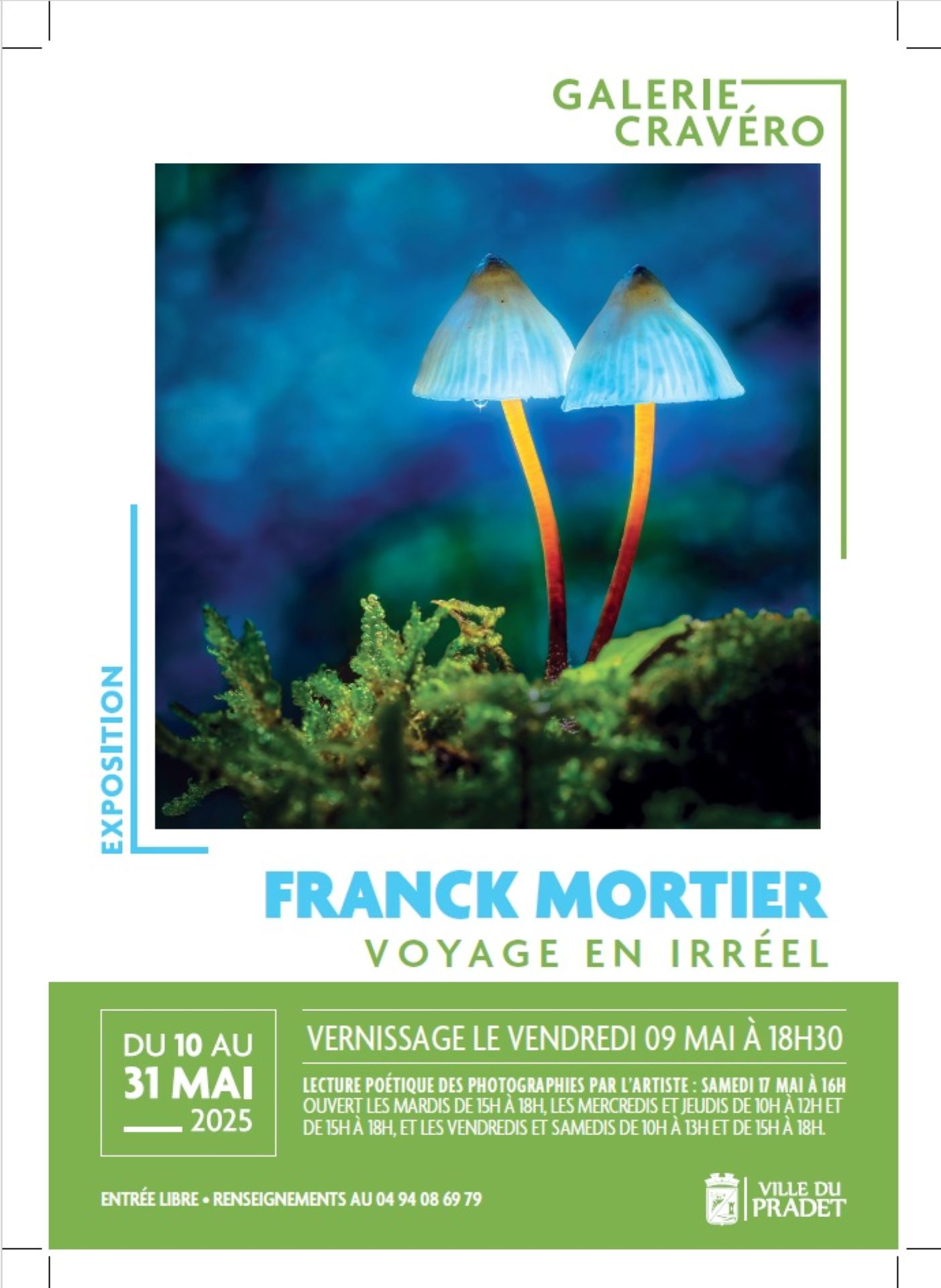 Exposition - Virginie Napo - Galerie Cravro