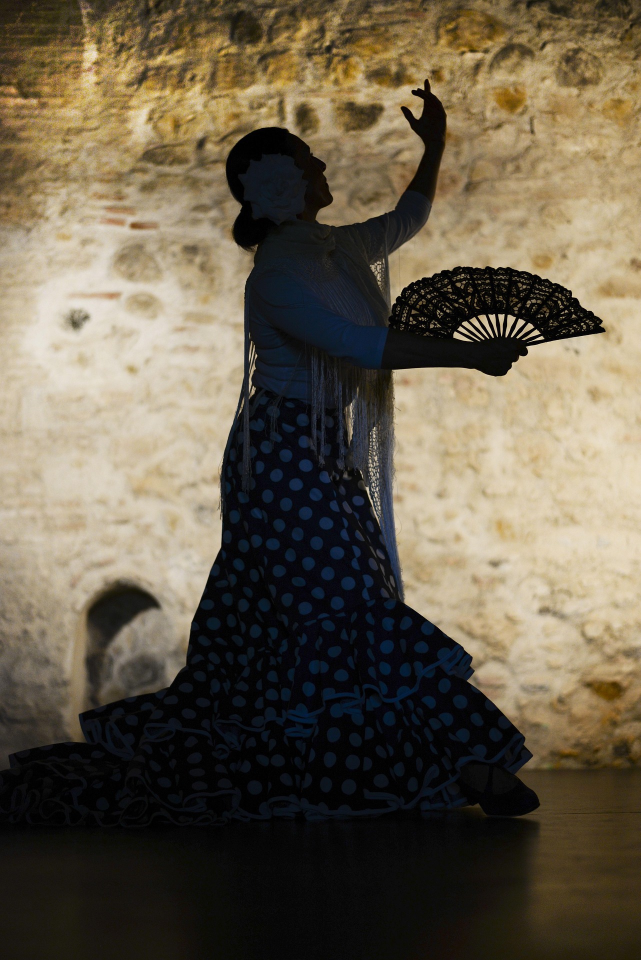 Spectacle de Flamenco
