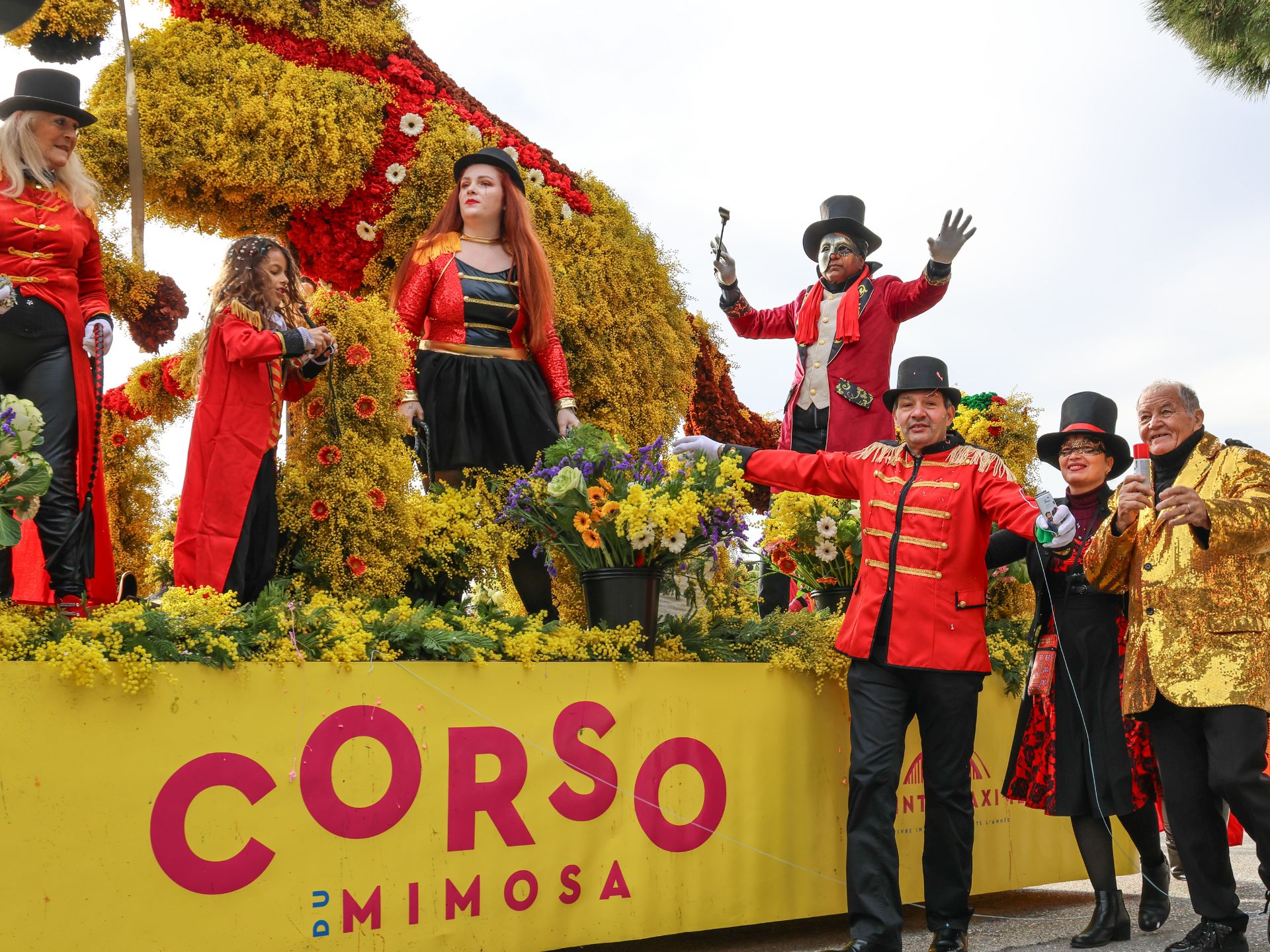 Corso du Mimosa