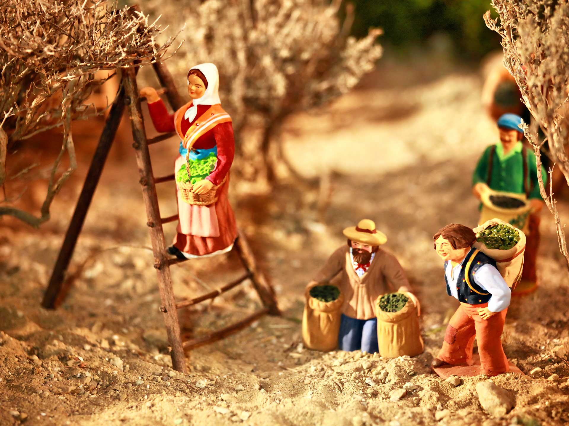 Immersion Tradition : Nol en Provence