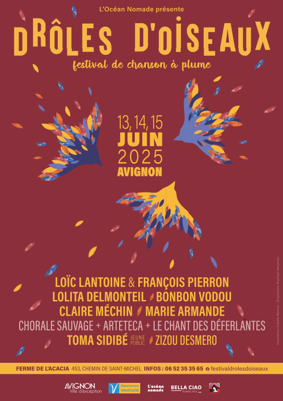 Festival Drles d'oiseaux