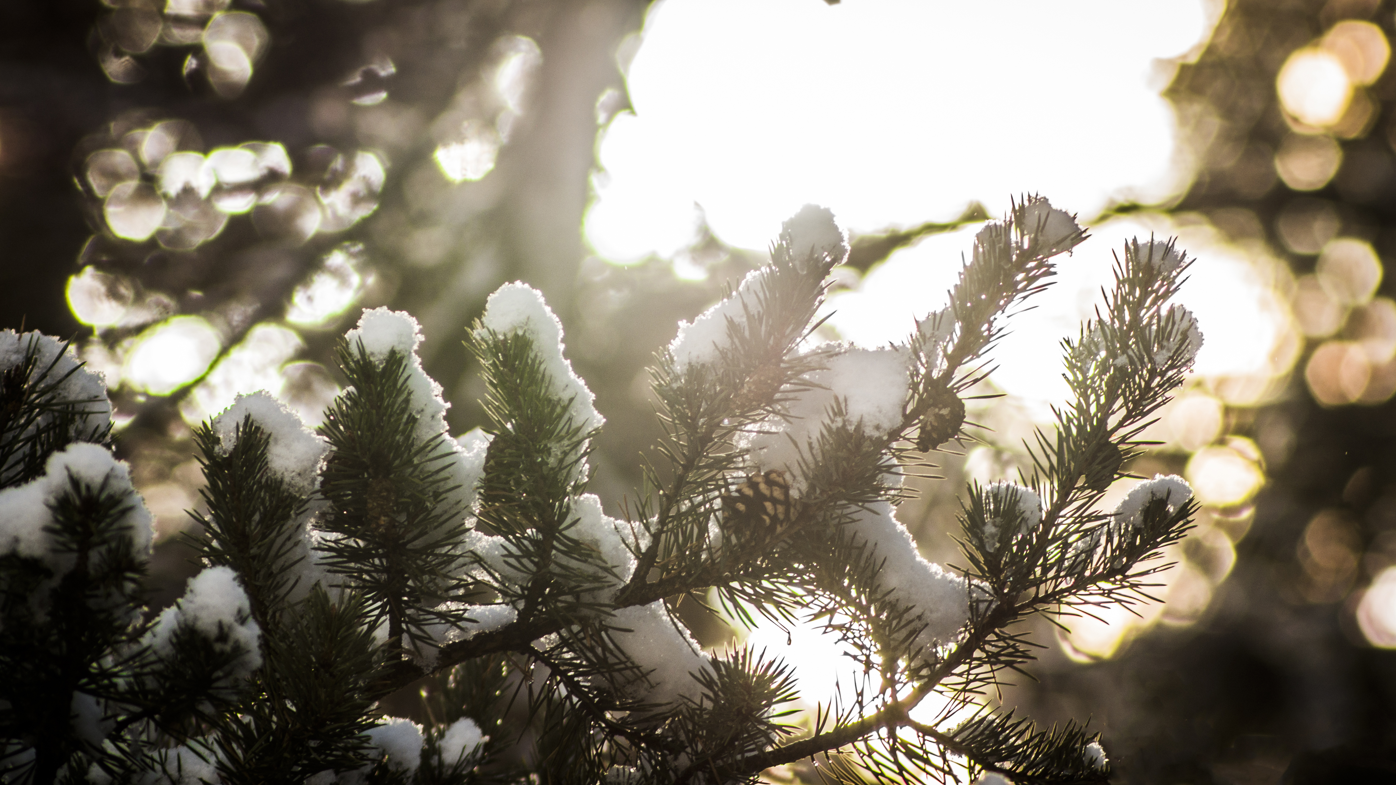 Messe et veille de Nol