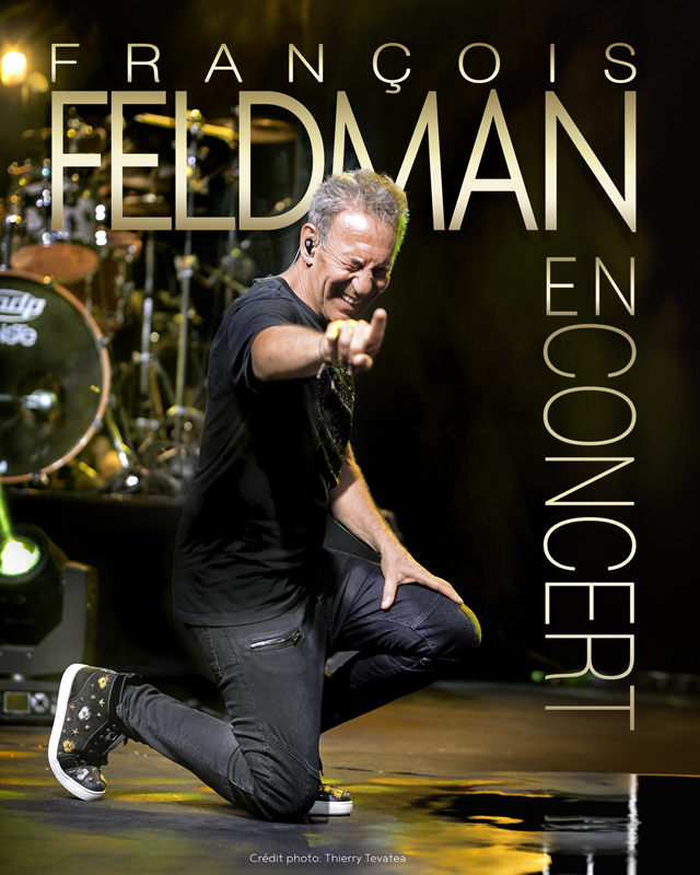 Franois Feldman en concert