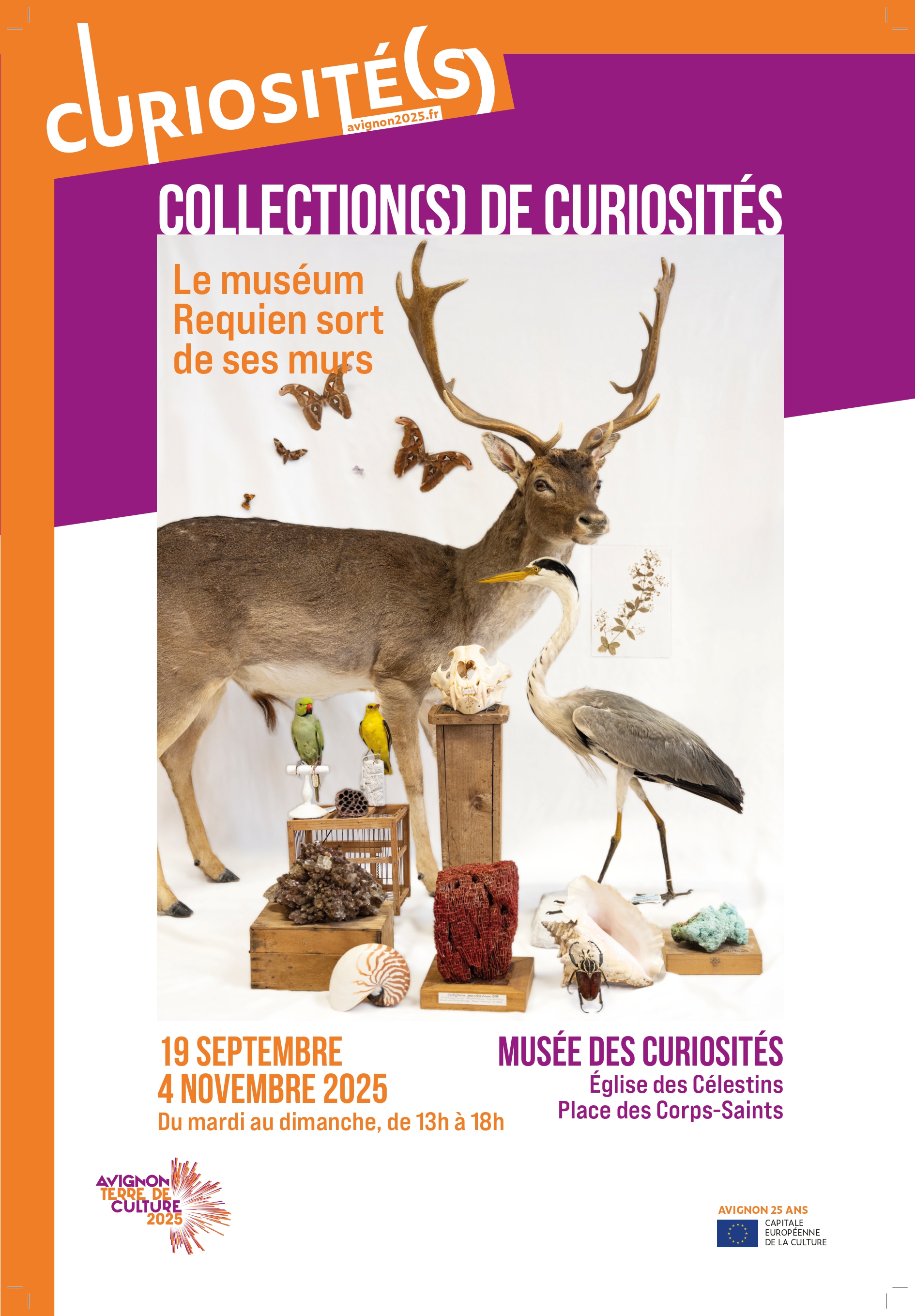 Collection(s) de curiosits  le musum Requien sort de ses murs