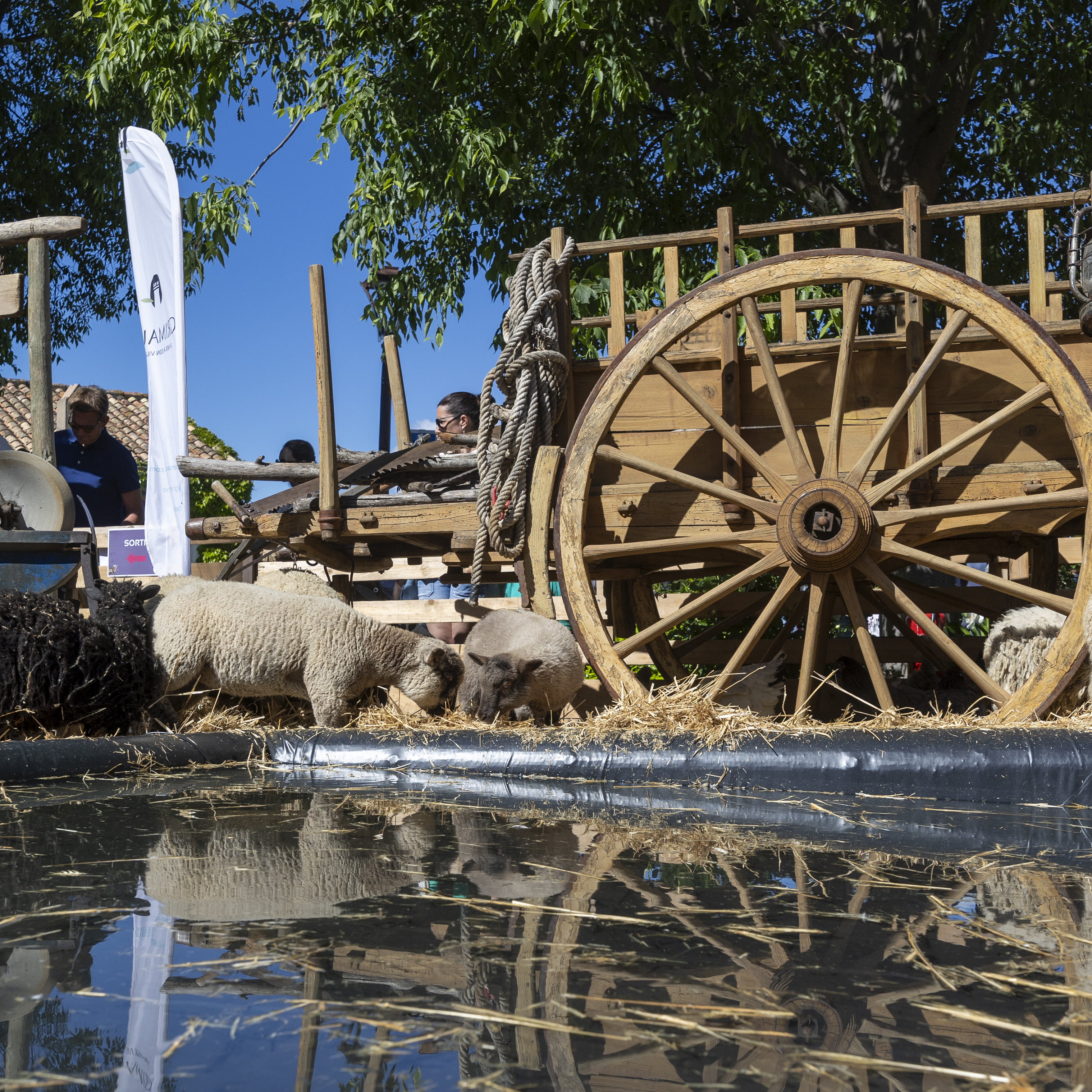 Les samedis du Ranch de la Mne