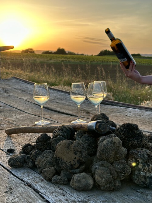 Soir�e truffes & huile d�olive au c�ur du Luberon au Moulin Bastide du Laval � Cadenet