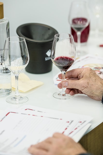 Atelier cole des Vins - Initiation  la dgustation et  la dcouverte des vinifications