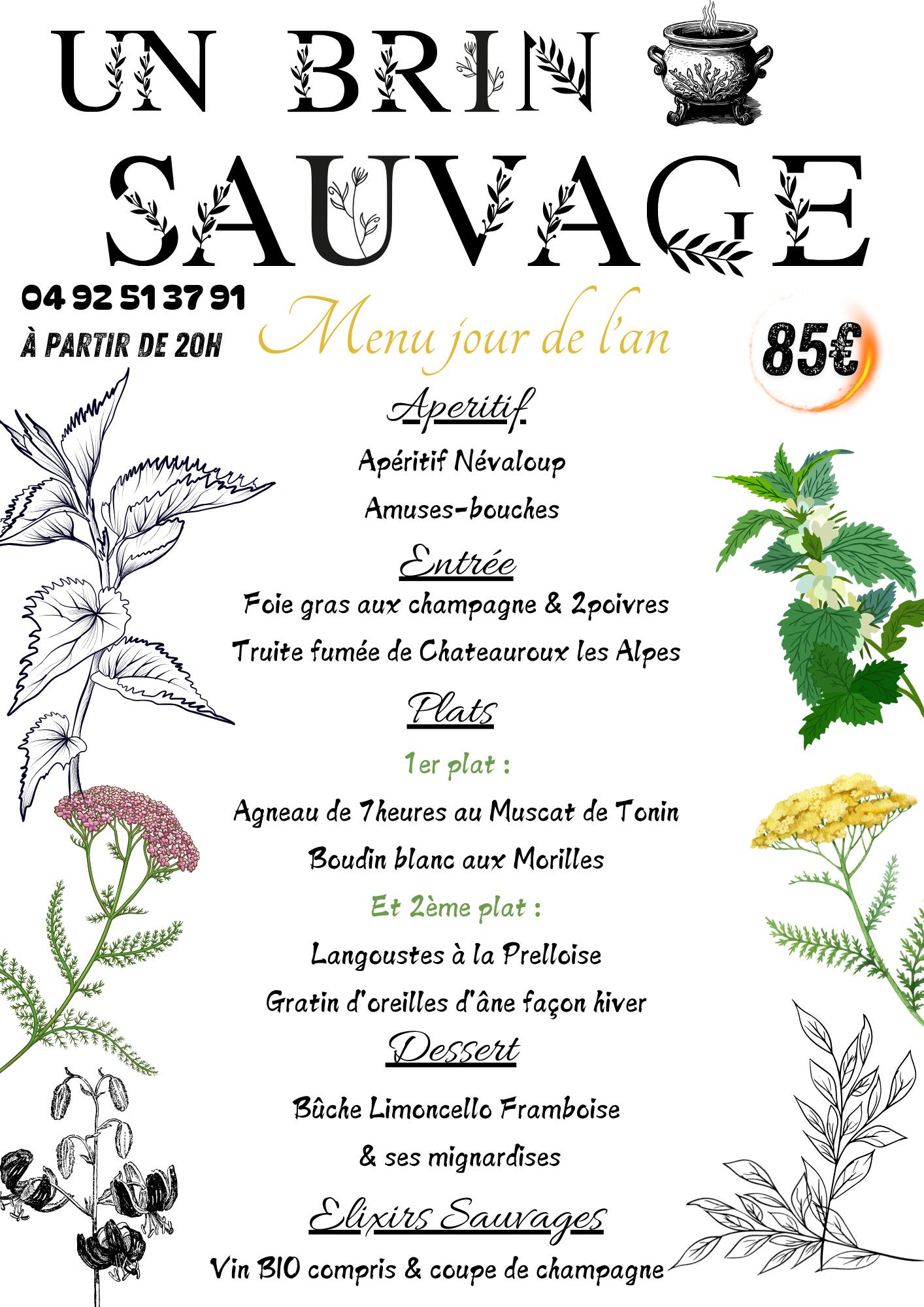R�veillon et repas du 1er � Un brin sauvage