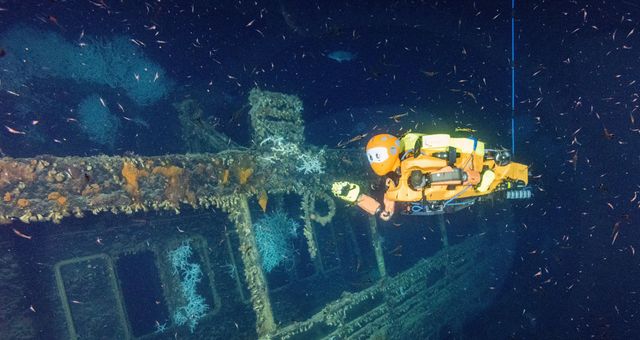 20 milieux sous les mers