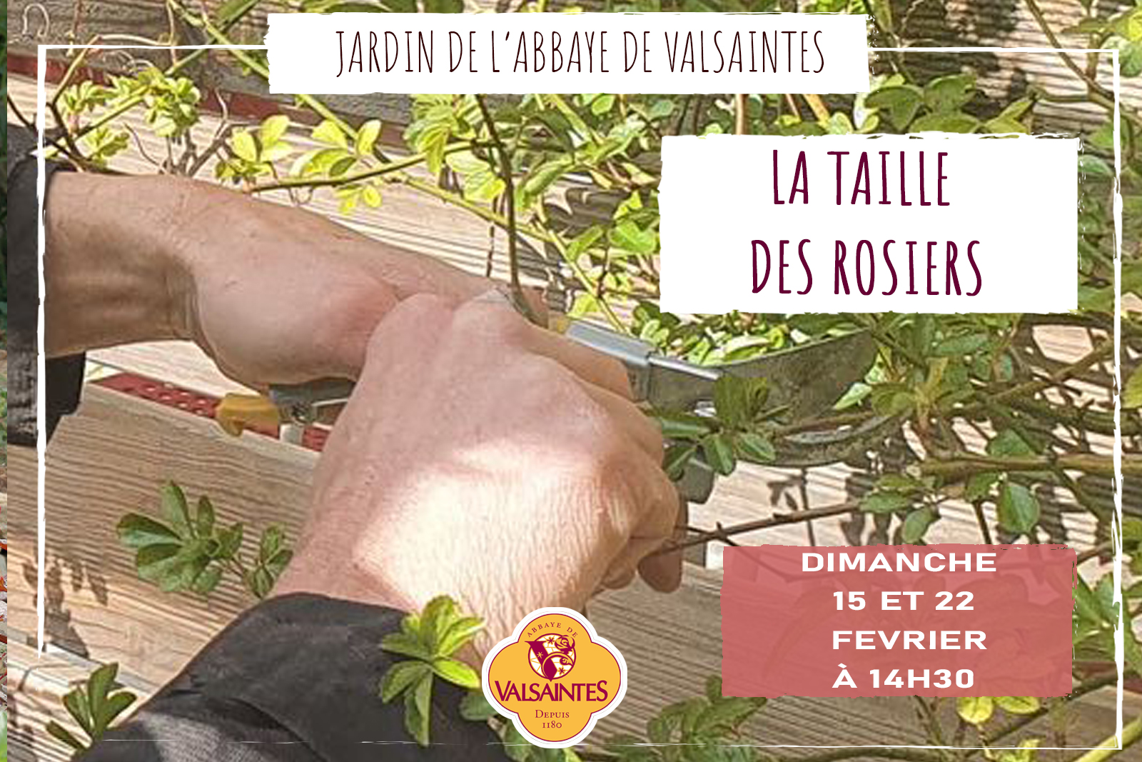 Confrence sur la taille des rosiers