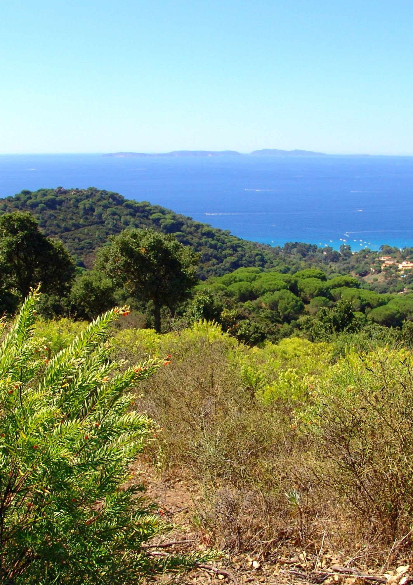 Point rencontre avec un garde du littoral : D�couverte de la nature m�diterran�enne