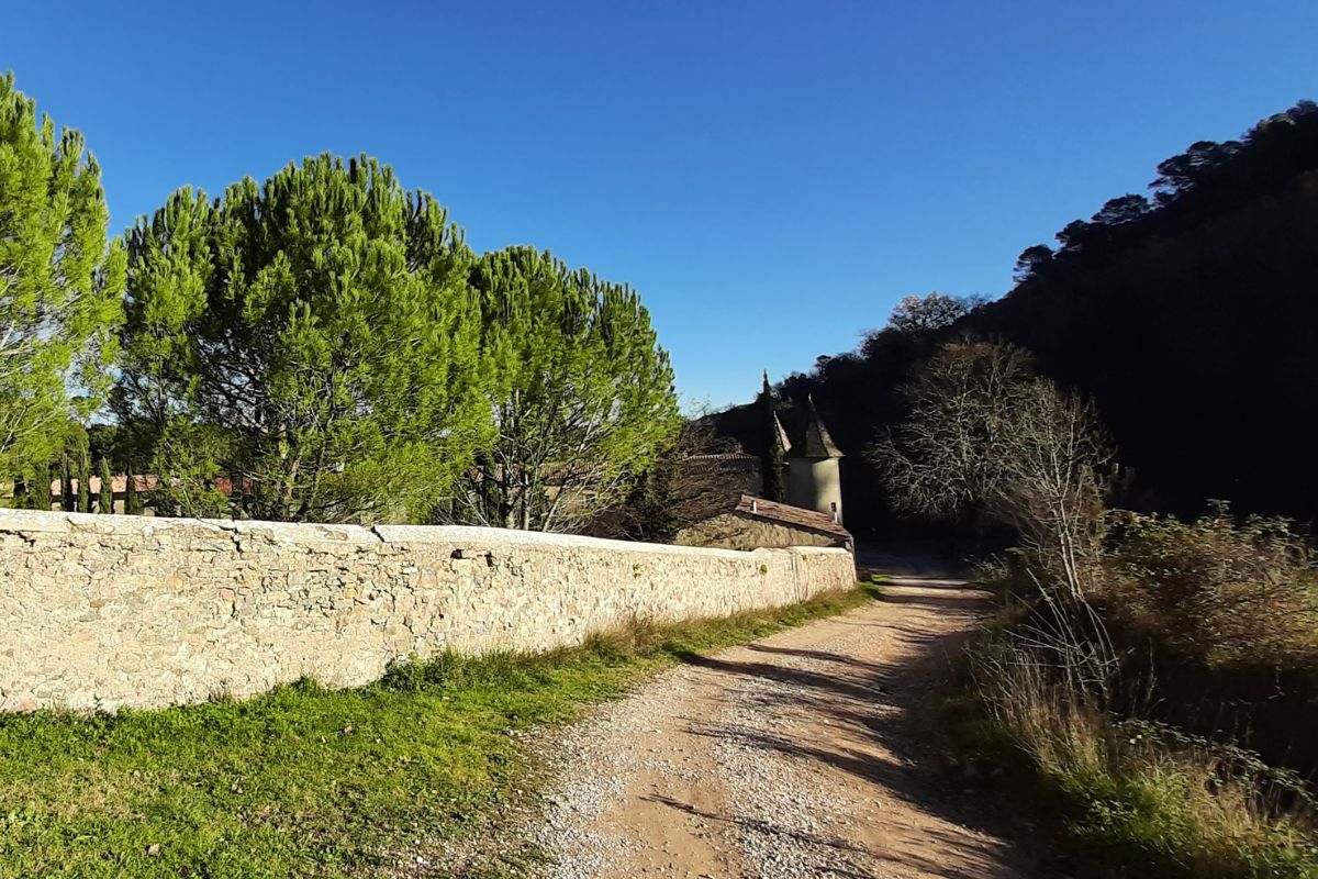 Balade nature commente : secrets des herbes et plantes gurisseuses