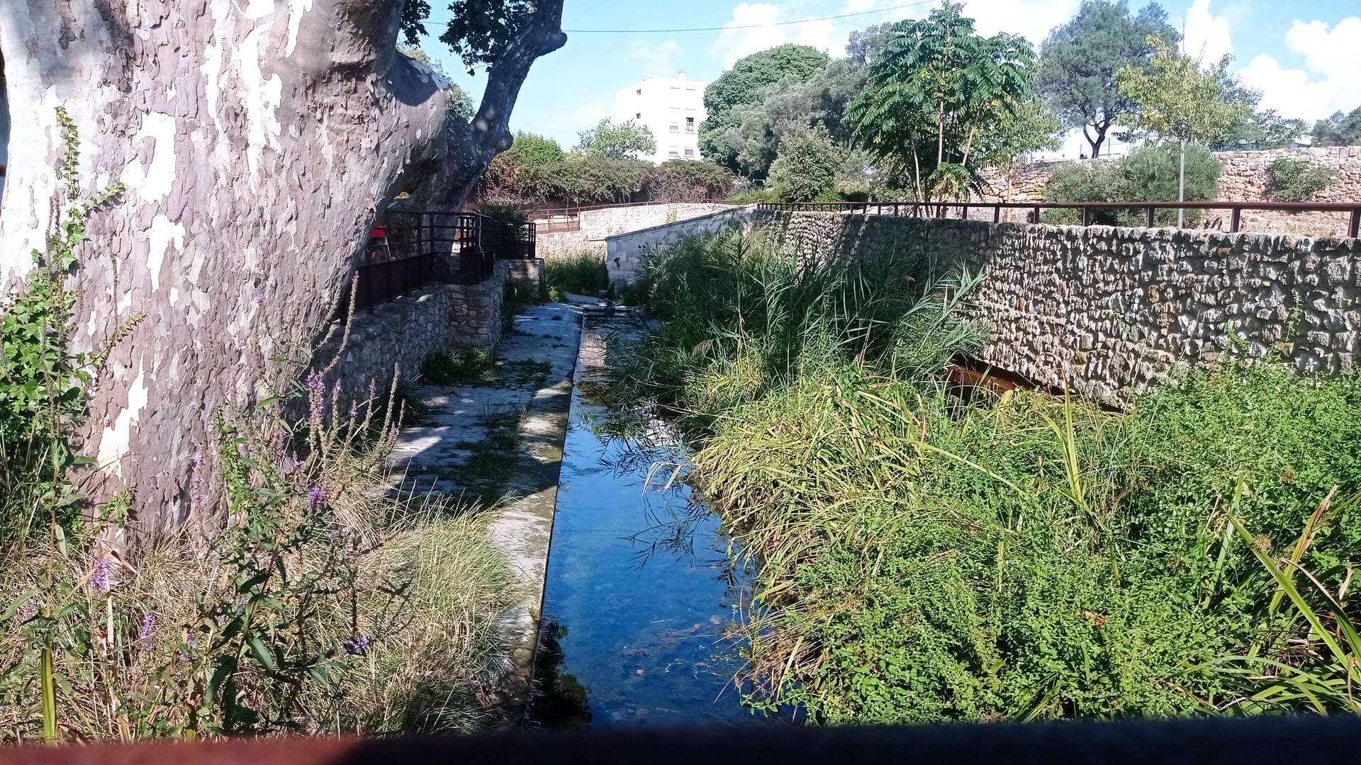 Journ�es europ�ennes de l'arch�ologie � Martigues