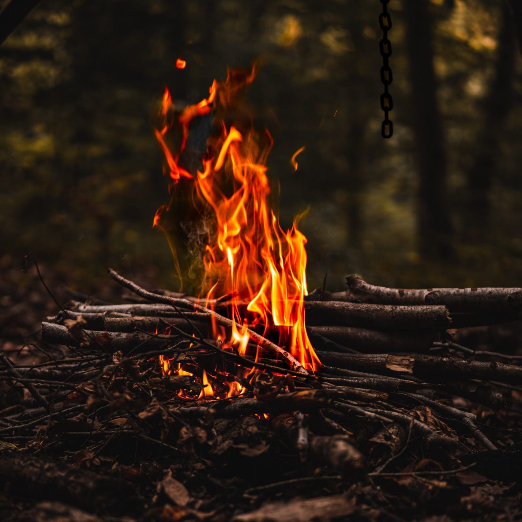 Bushcraft - apprentissage du feu
