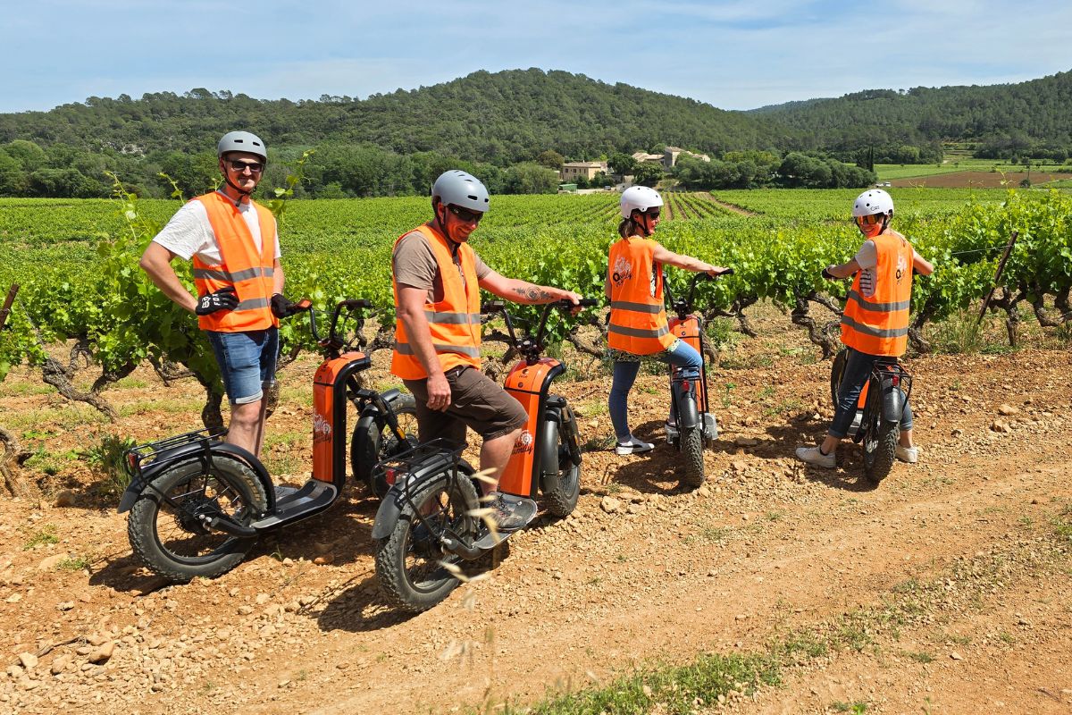 Visite et dgustation : sur la trott' des vins