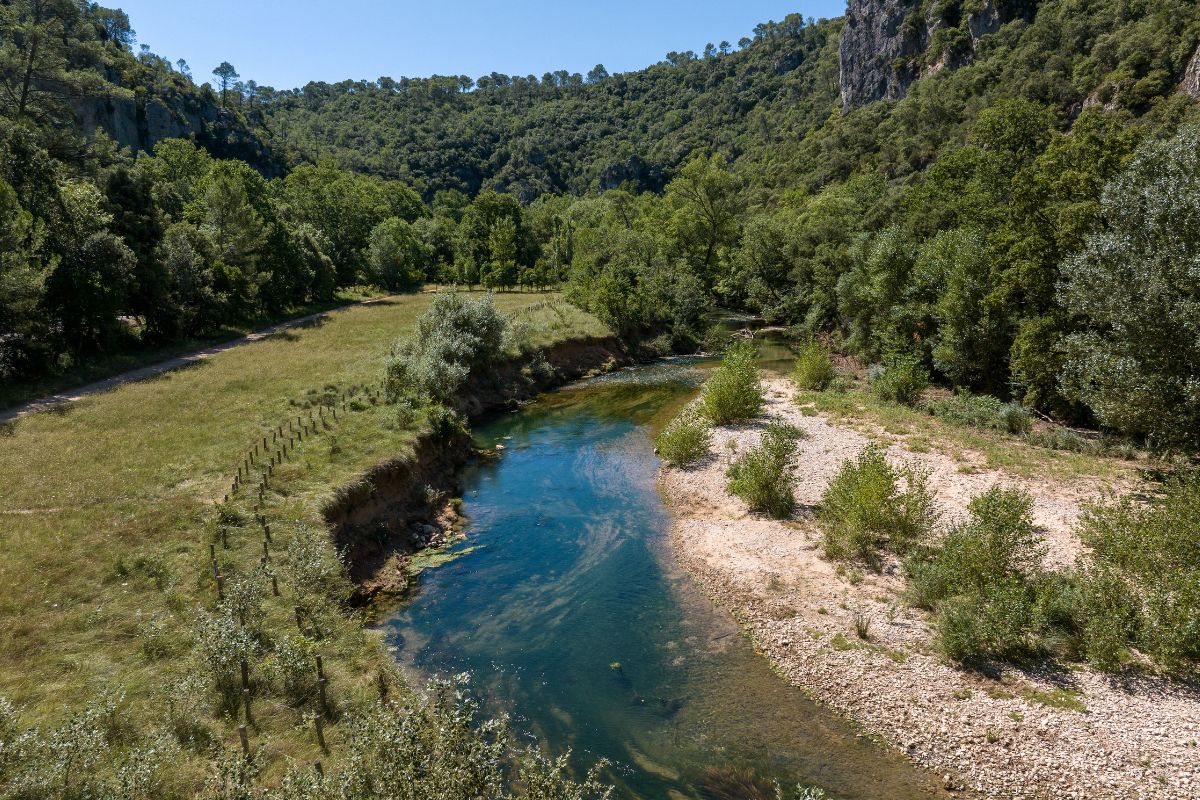 Balade nature commente : explorez les facettes du Vallon Sourn