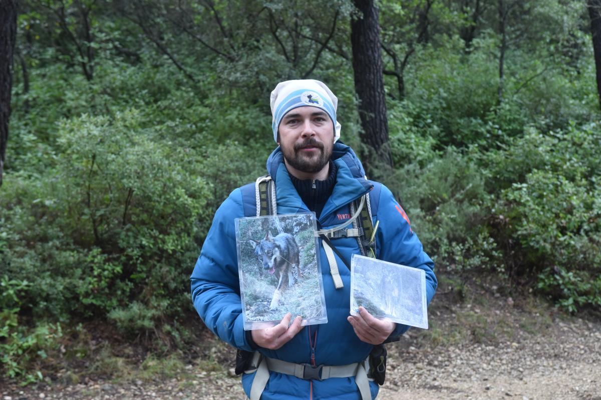 Balade nature commente : sur les traces des loups