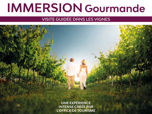 Immersion gourmande : Balade dans les vignes