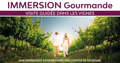 Immersion gourmande : Balade dans les vignes