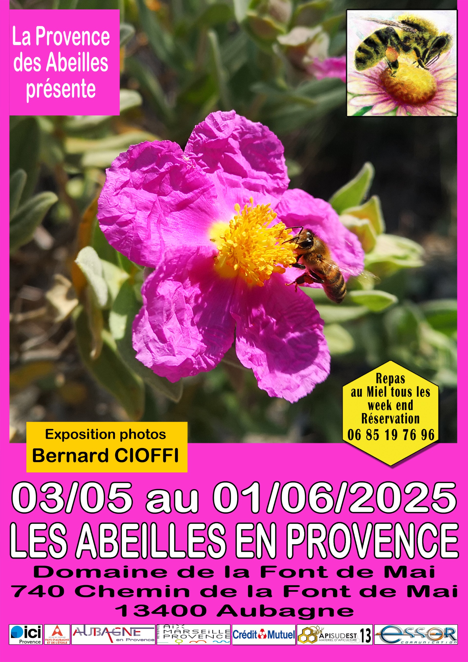 Exposition de photos les abeilles en Provence