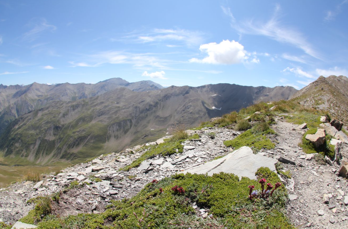 Skyrace Les Orres