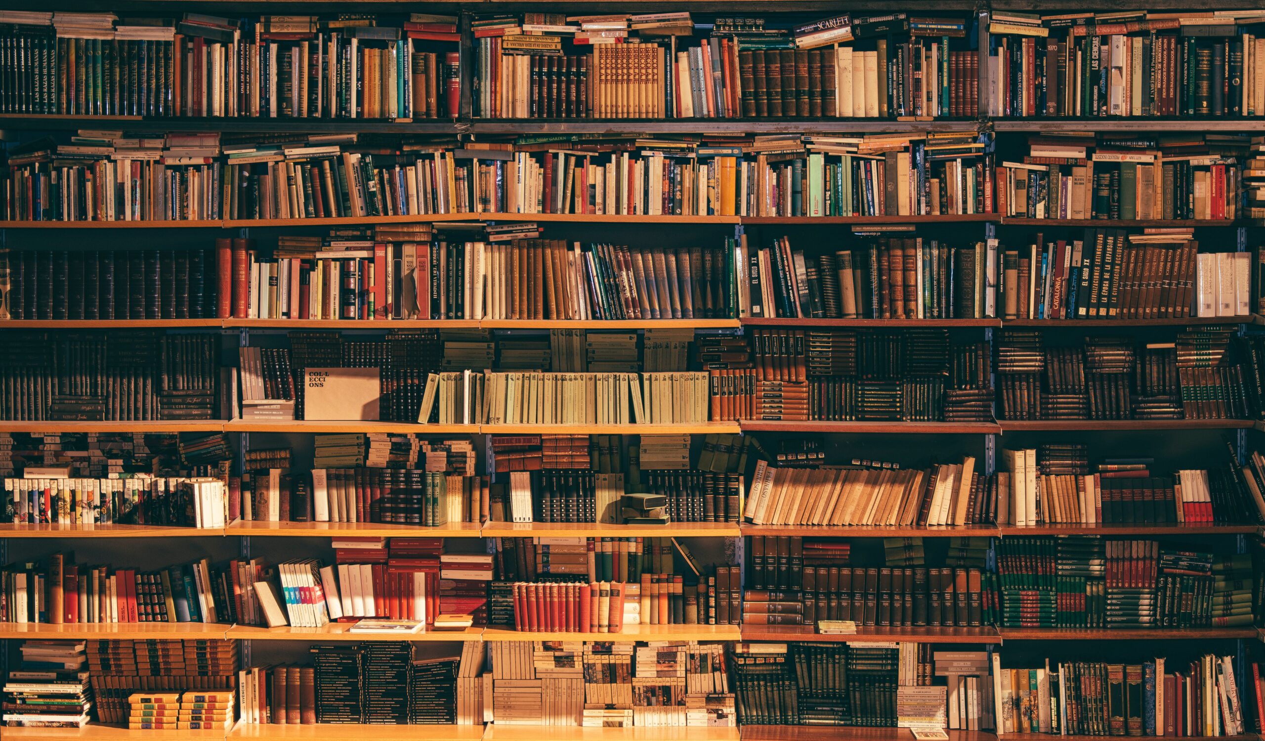 Livres entre parenthses  LE SACRE DE LHOMME 