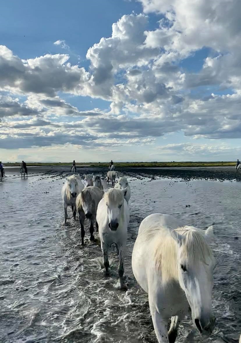 Rallye - promenade de l'ACTE