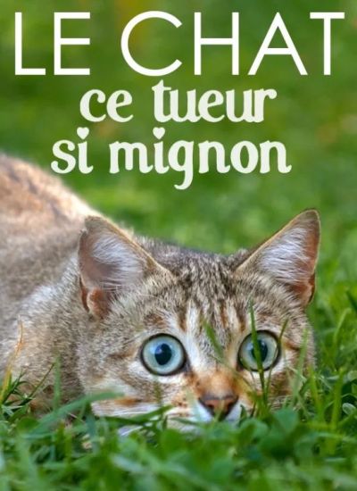 Projection Opra au Micro-Folie -  Le Chat, ce tueur si mignon.