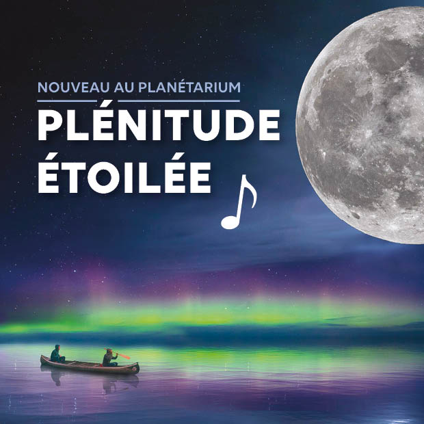 Plnitude toile 2025