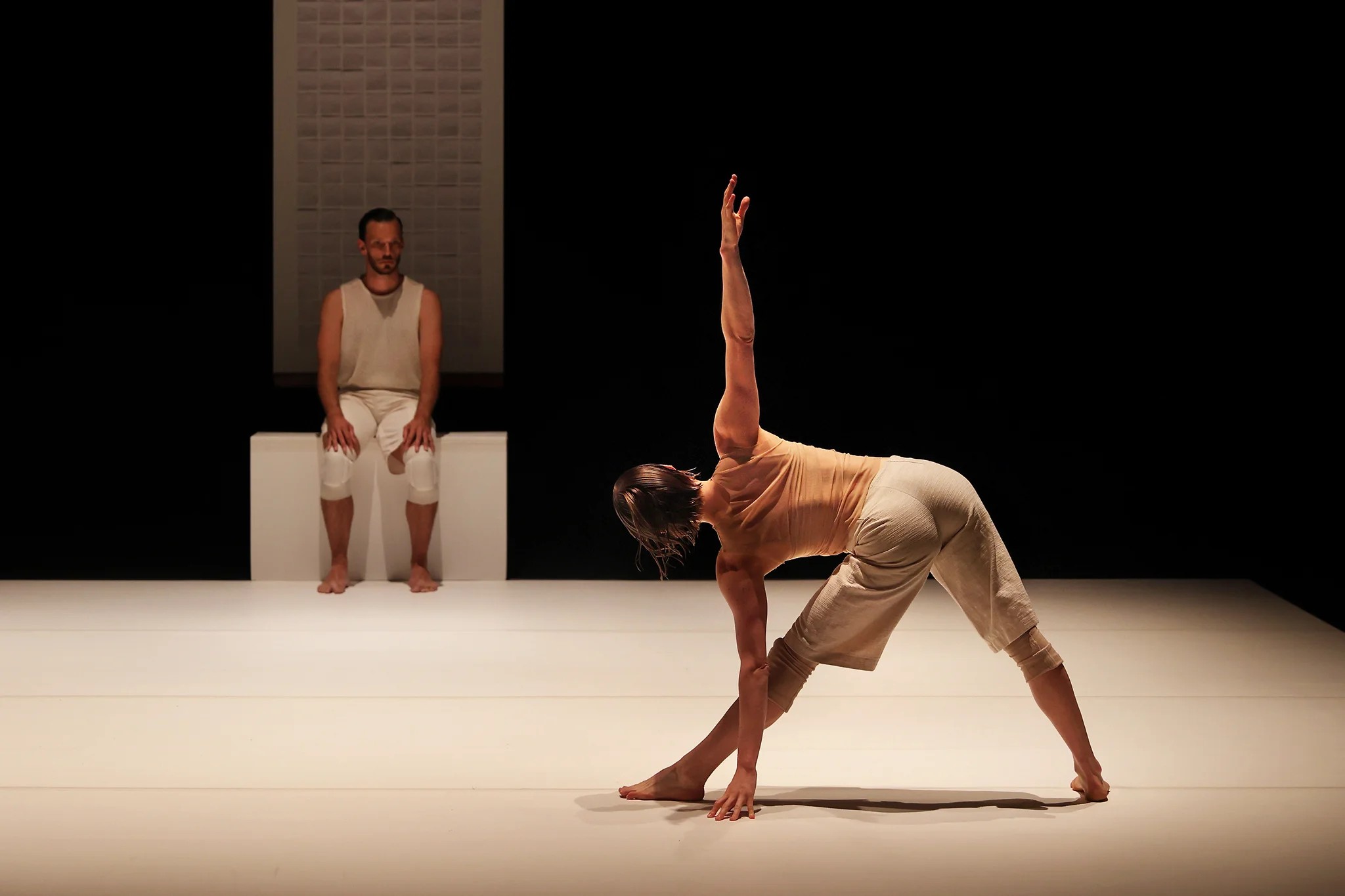 'Crocrodile' - Vaison Danses au Nymphe