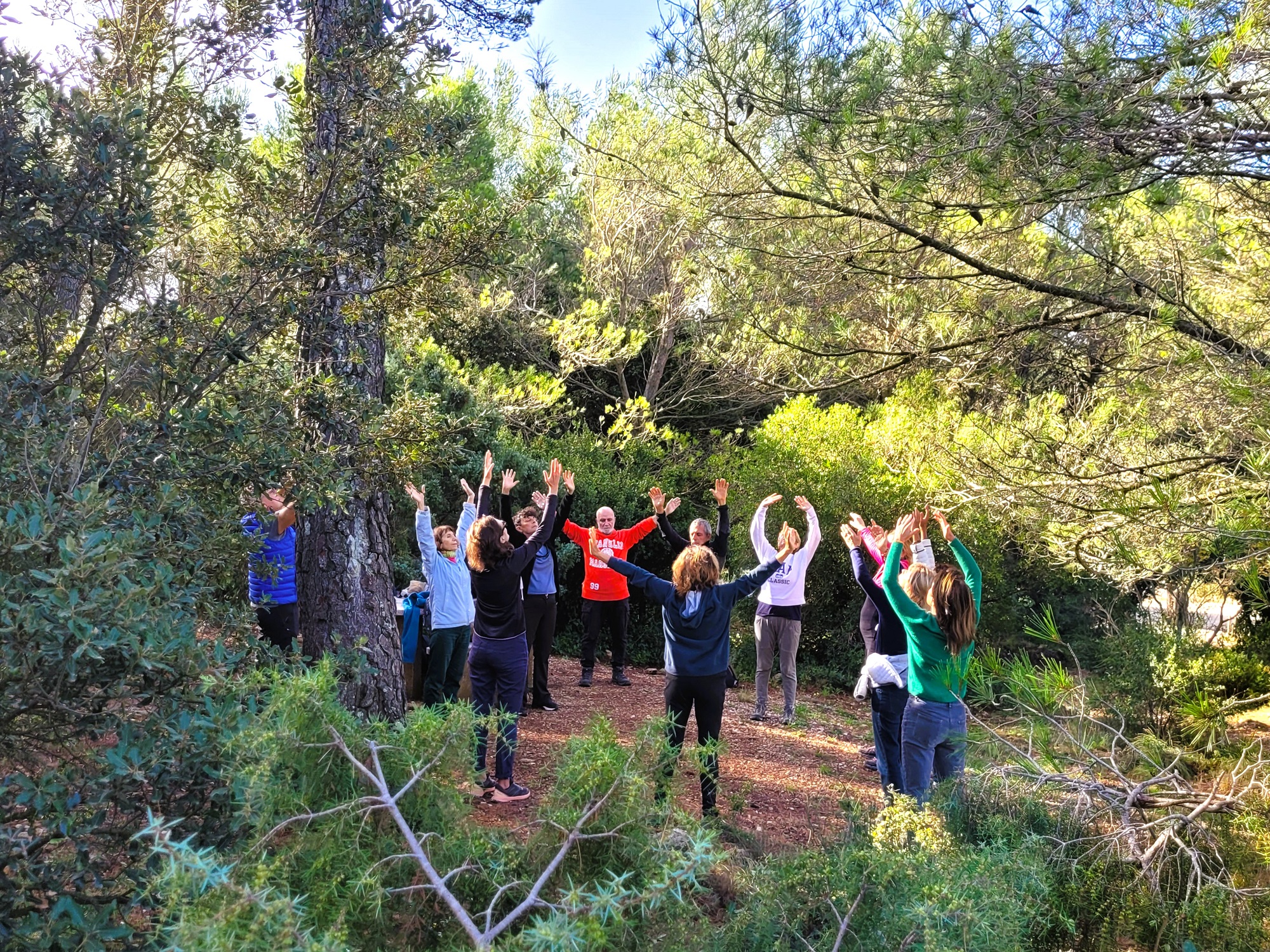 Pause nature au sommet du Mont Faron