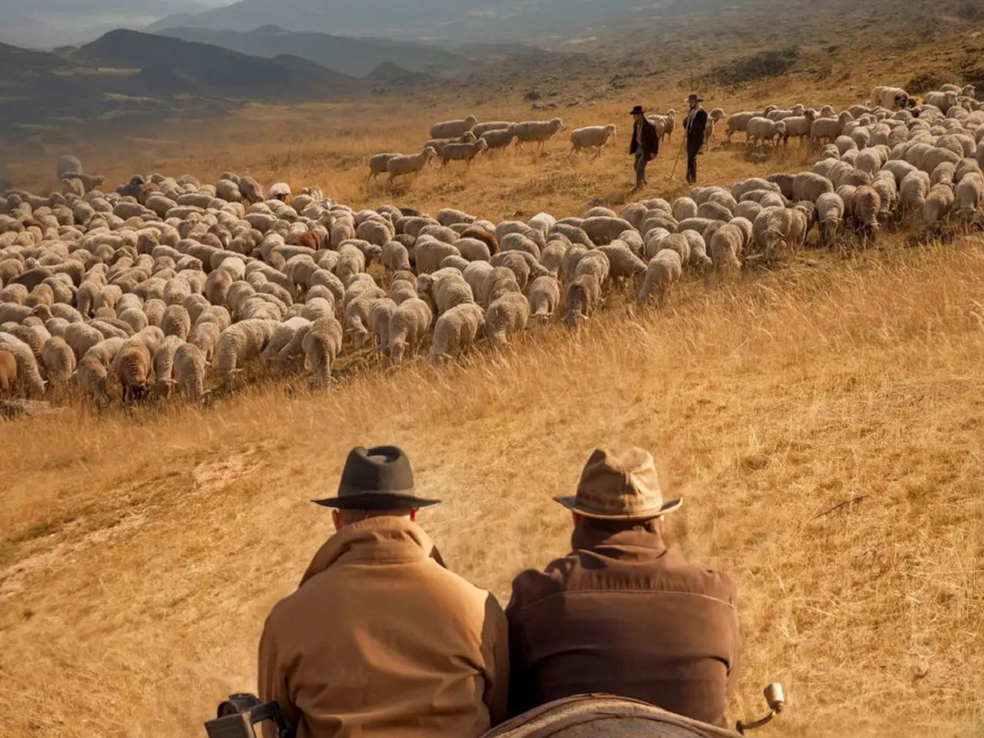 Dans les pas de Pete, un Haut-Alpin au Far West