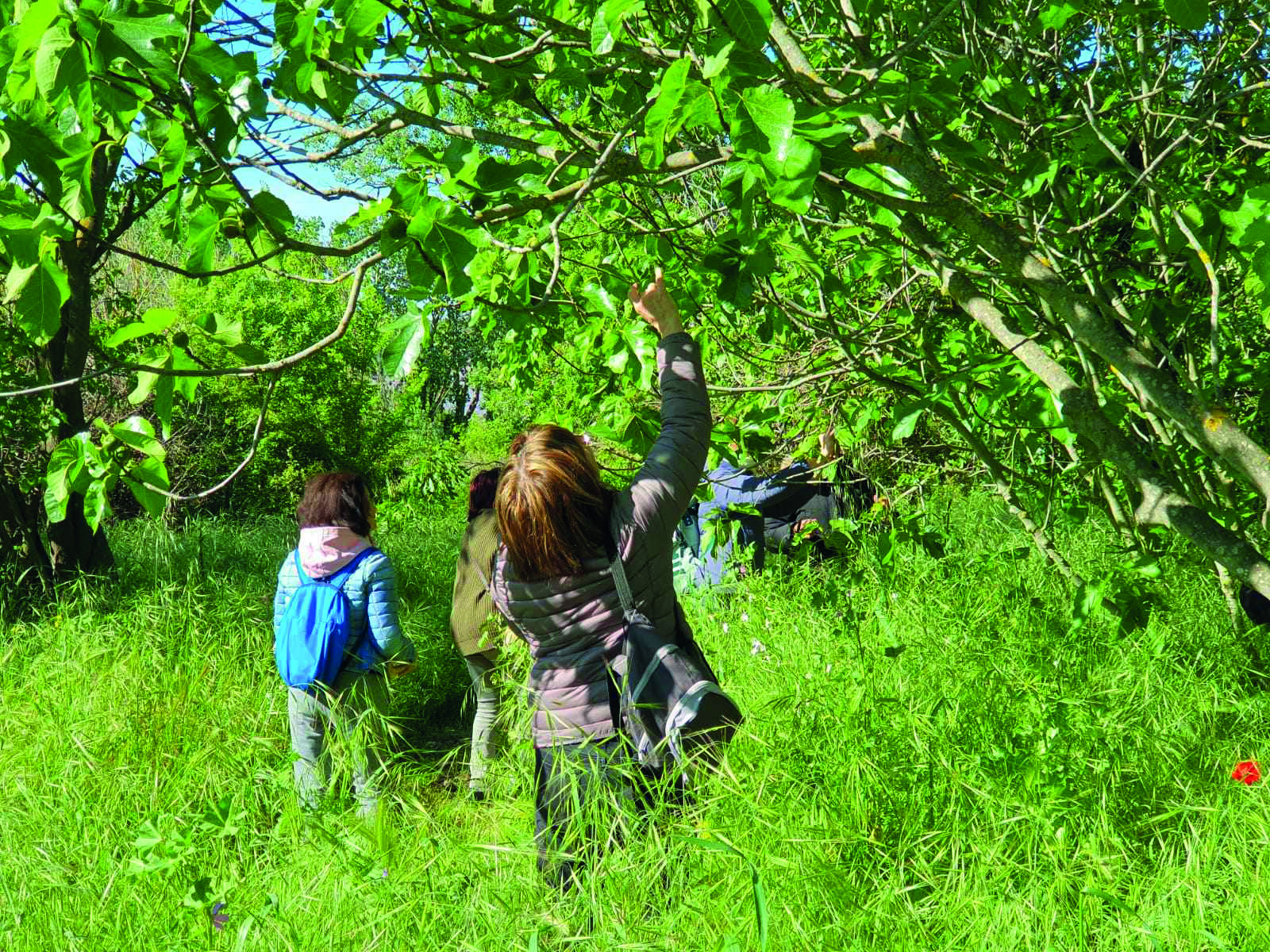 D�couverte de la gemmoth�rapie avec une naturopathe